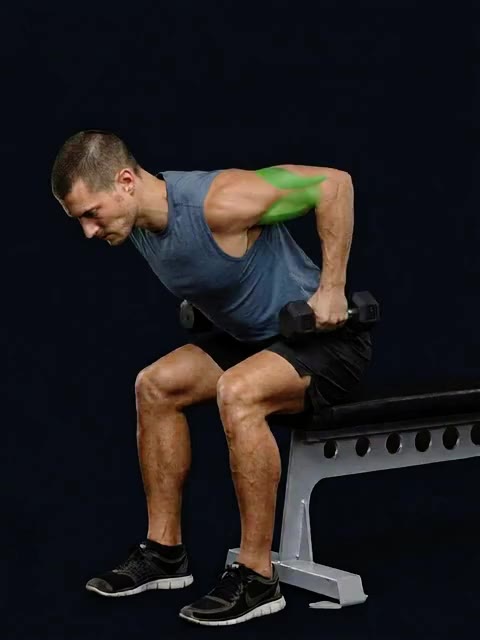 Seated Bent-Over Two-Arm Dumbbell Triceps Extension (bent over, seated, standing, bilateral) — full movement