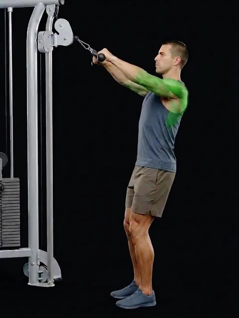 Cable Face Pull — full movement