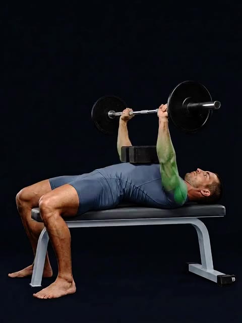 Board Bench Press — full movement