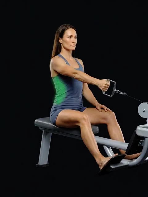 Seated Single-Arm Cable Row (seated, unilateral) — full movement