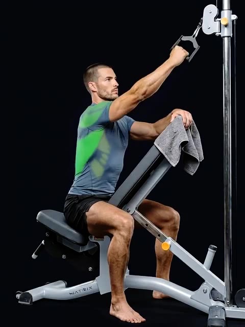 Trimmed 1.16s–3.94s