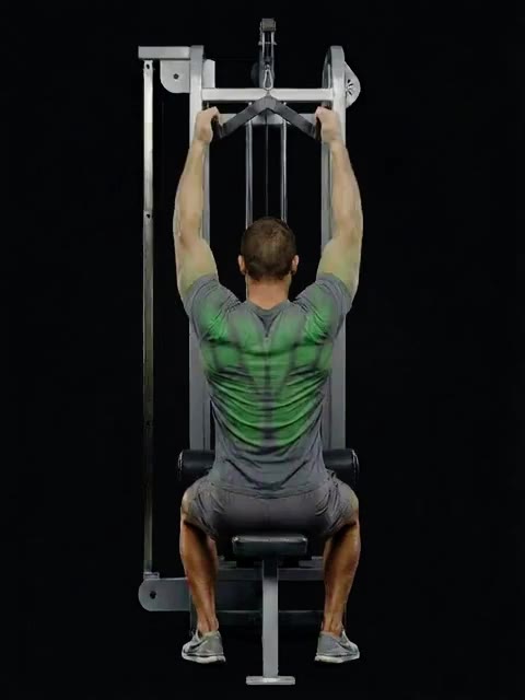 Neutral Grip Lat Pulldown (neutral) — full movement