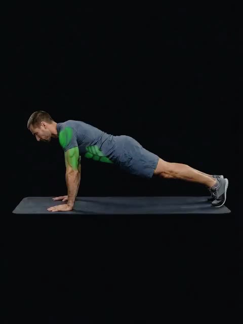 Bodyweight Skullcrusher — full movement